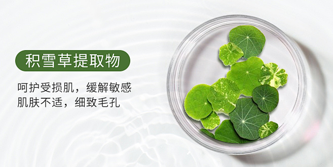 积雪草提取物长盛不衰的秘密：从"祛痘印"到"屏障修护"的品类进化