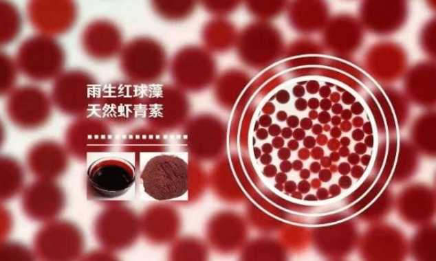 虾青素被叫做"抗氧化天花板"靠谱吗？从原料到配方，把话说清楚
